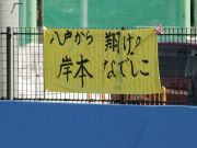 20060463