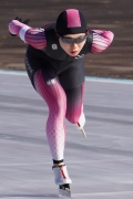 20231290